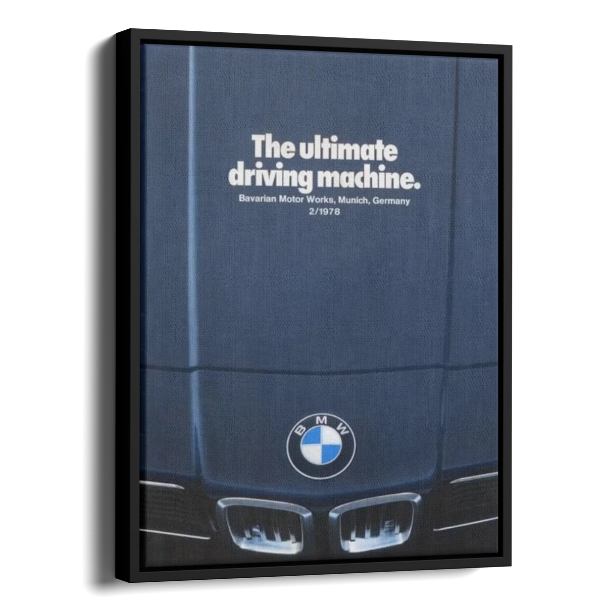 6 Series E24 Sharknose — Alternate View