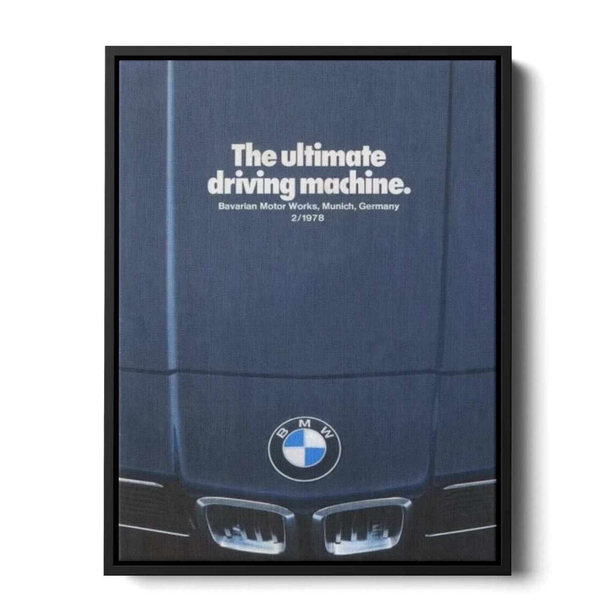 6 Series E24 Sharknose — Canvas Print