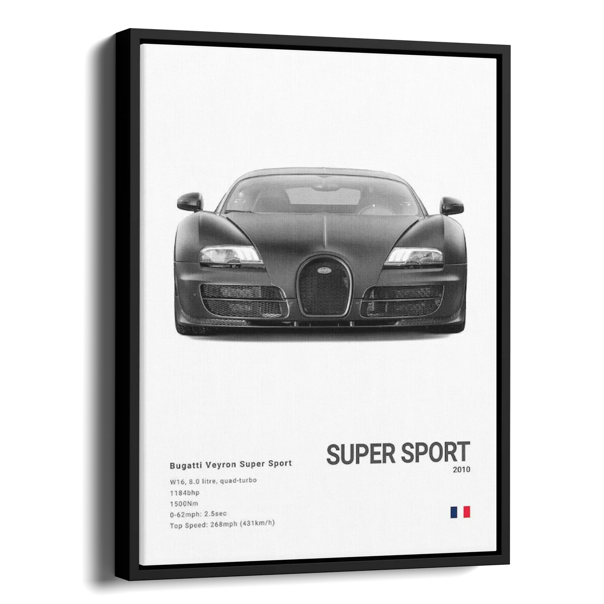 Veyron Super Sport Specs Bw — Alternate View