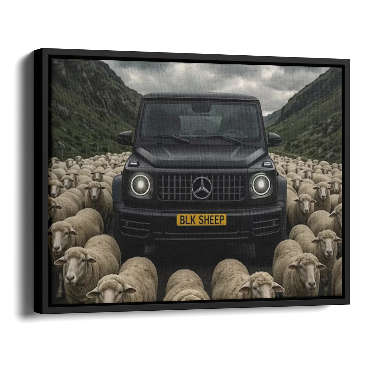 G63 Blk Sheep — Alternate View