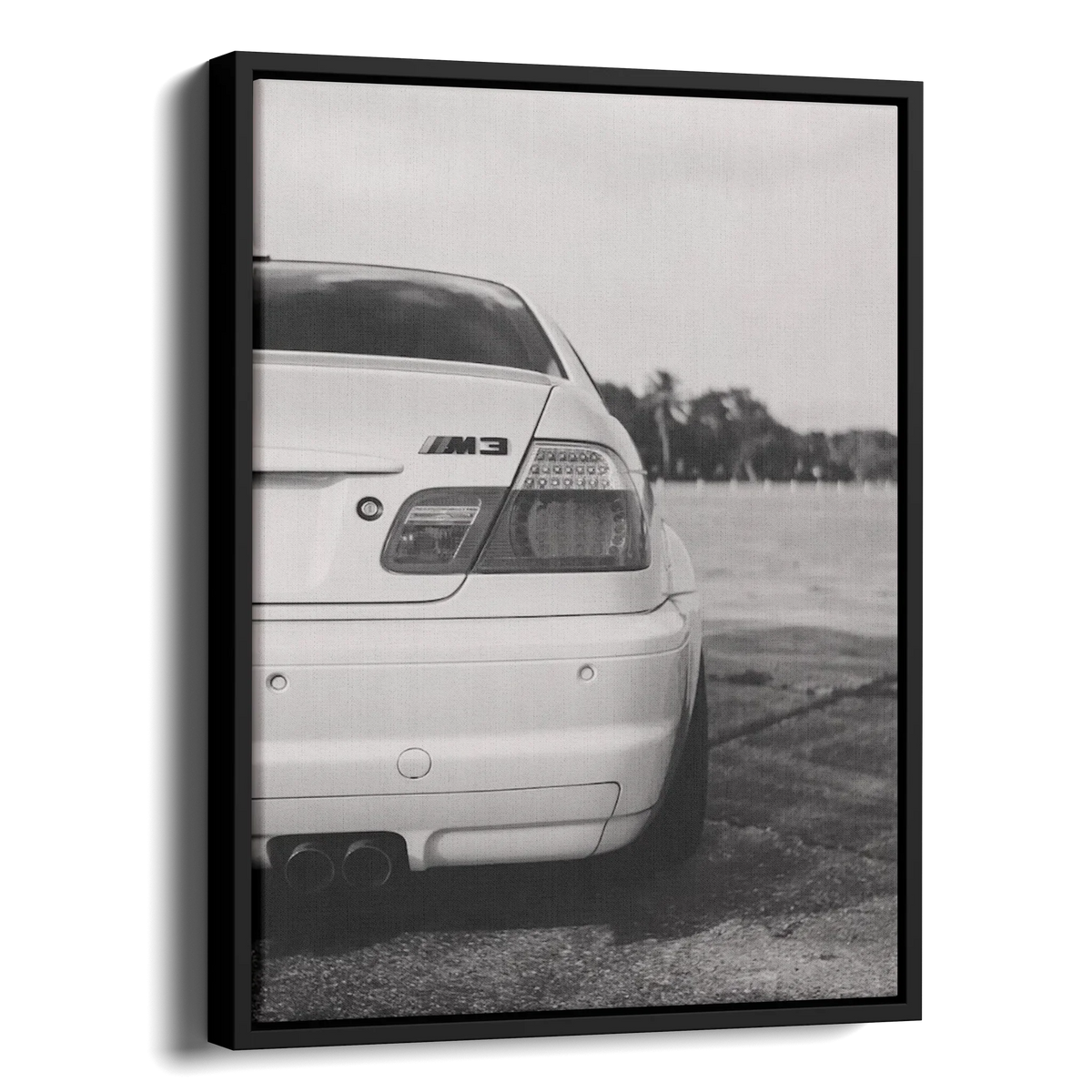 M3 E46 Rear — Alternate View