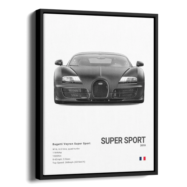 Veyron Super Sport Specs Bw — Alternate View
