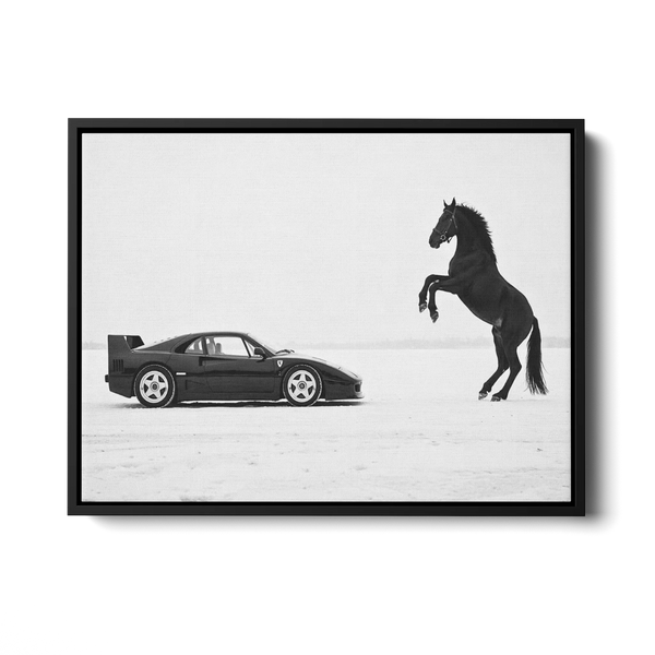 F40 Black Horse — Canvas Print