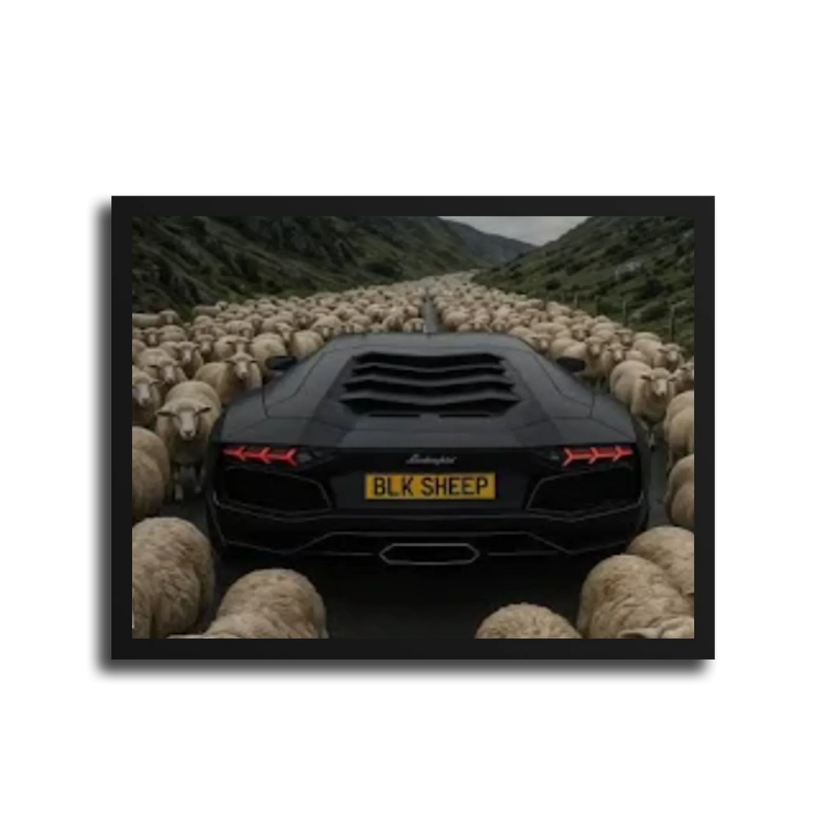 Aventador Blk Sheep — Black Frame