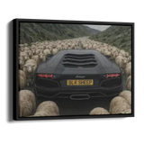 Aventador Blk Sheep — Alternate View