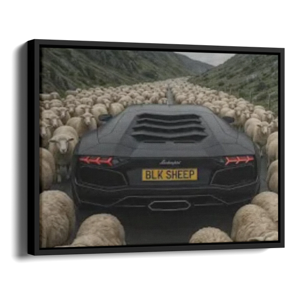 Aventador Blk Sheep — Alternate View