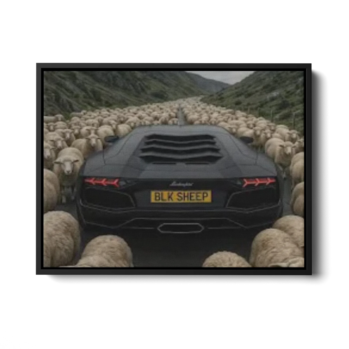 Aventador Blk Sheep — Canvas Print