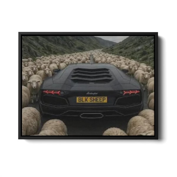 Aventador Blk Sheep — Canvas Print