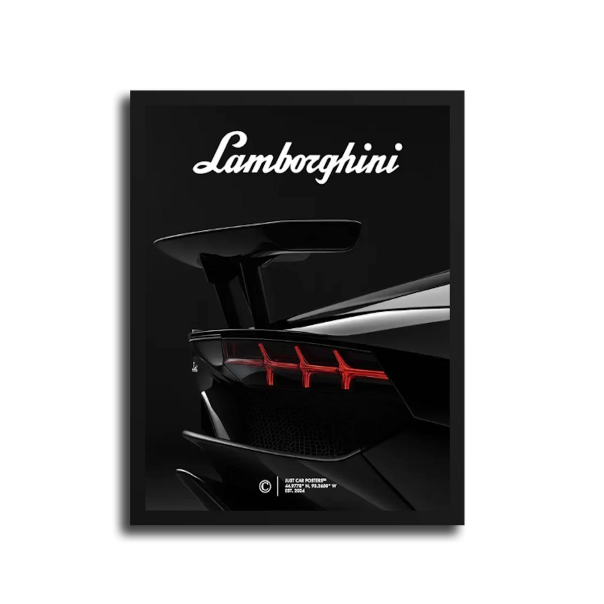 Rear Wing Closeup Poster — Black Frame