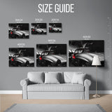300Sl Gullwing Rear Bw — Size Guide