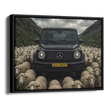 G63 Blk Sheep — Alternate View