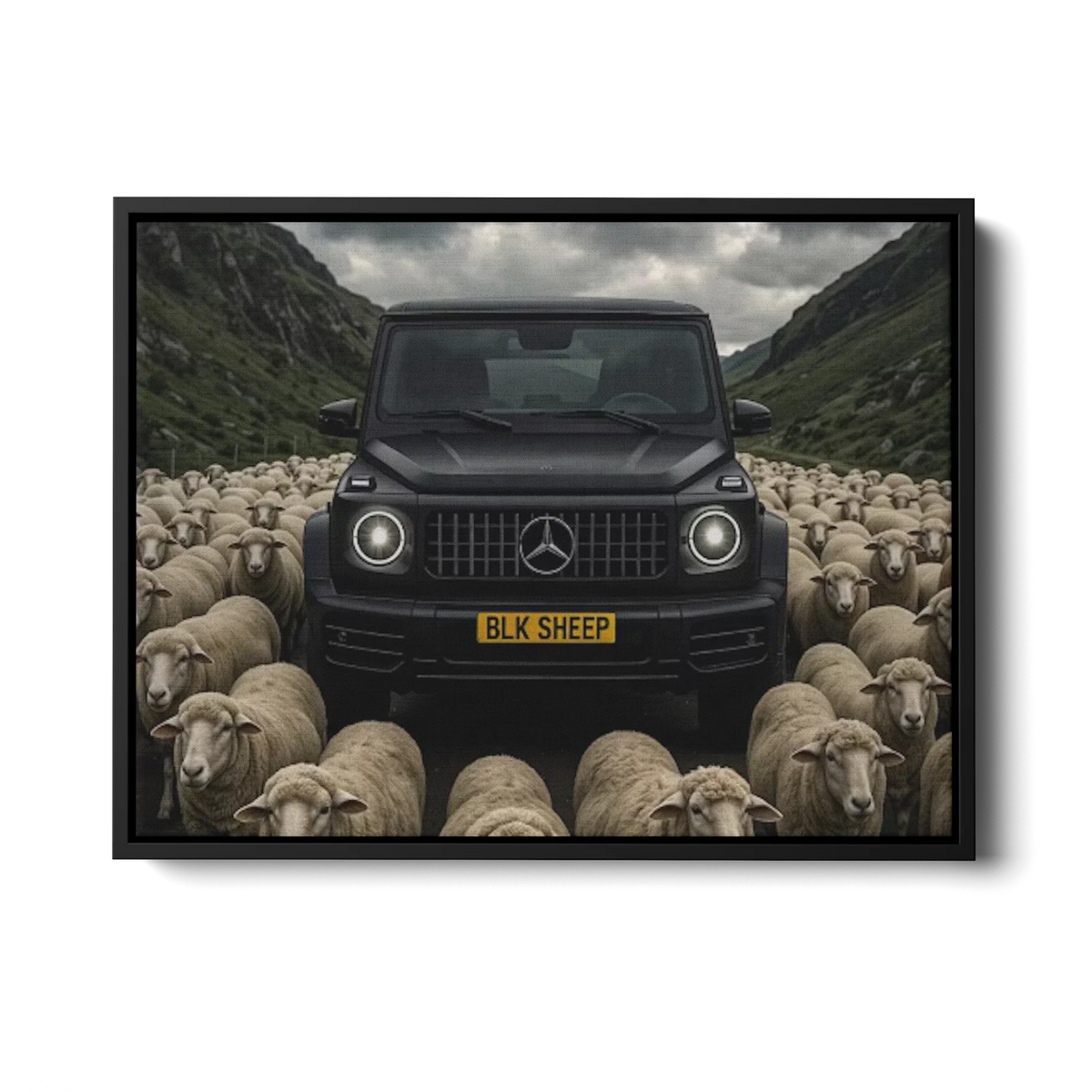 G63 Blk Sheep — Canvas Print
