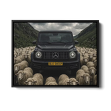 G63 Blk Sheep — Canvas Print
