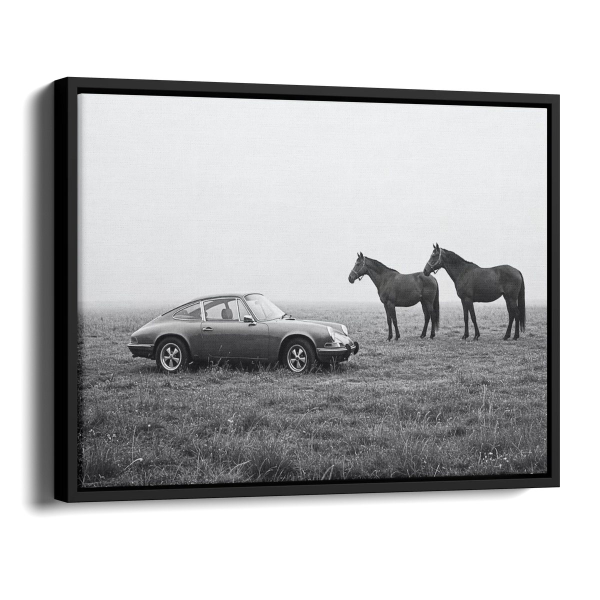911 With Horses Field Bw — Alternate View