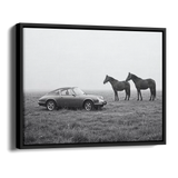 911 With Horses Field Bw — Alternate View