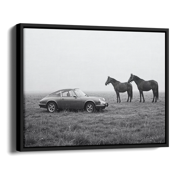 911 With Horses Field Bw — Alternate View