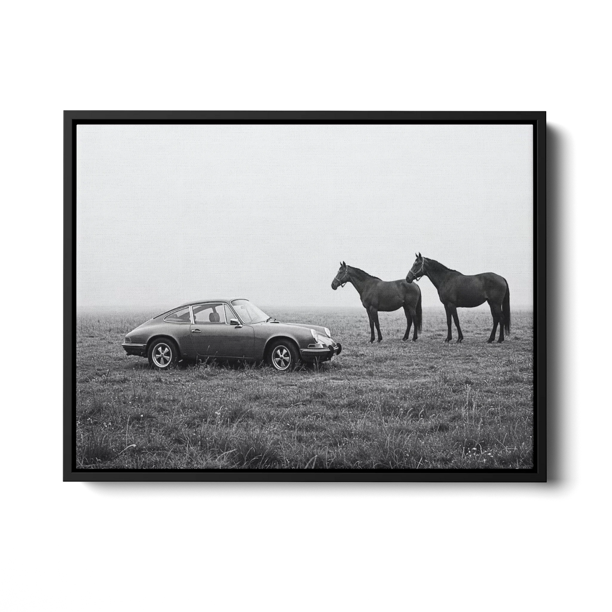911 With Horses Field Bw — Canvas Print