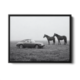 911 With Horses Field Bw — Canvas Print