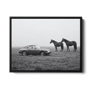 911 With Horses Field Bw — Canvas Print