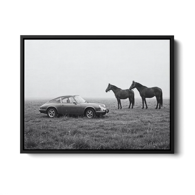 911 With Horses Field Bw — Canvas Print