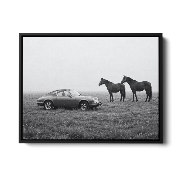 911 With Horses Field Bw — Canvas Print